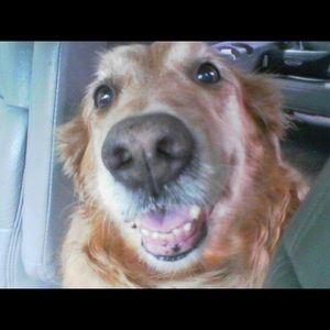 Meet your Posher, Carollee